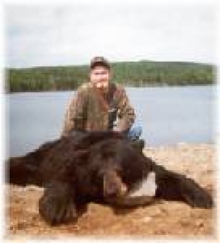 Mr Nolos New Brunswick Bear
